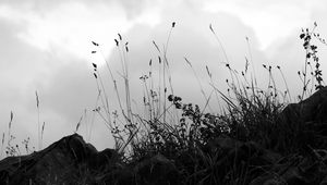 Preview wallpaper grass, stones, bw, hill, sky, clouds