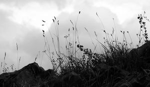 Preview wallpaper grass, stones, bw, hill, sky, clouds