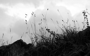 Preview wallpaper grass, stones, bw, hill, sky, clouds