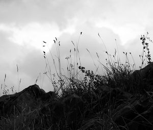 Preview wallpaper grass, stones, bw, hill, sky, clouds