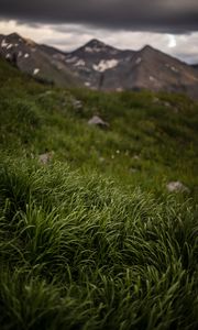 Preview wallpaper grass, stones, mountains, greenery, landscape