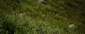 Preview wallpaper grass, stones, mountains, greenery, landscape