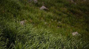 Preview wallpaper grass, stones, mountains, greenery, landscape