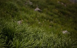 Preview wallpaper grass, stones, mountains, greenery, landscape