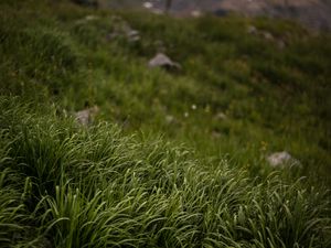 Preview wallpaper grass, stones, mountains, greenery, landscape