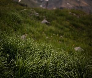 Preview wallpaper grass, stones, mountains, greenery, landscape