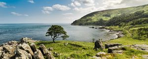 Preview wallpaper grass, stones, tree, sea, nature