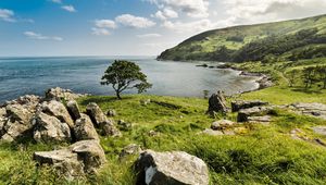 Preview wallpaper grass, stones, tree, sea, nature