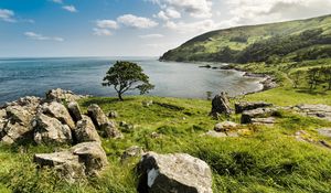 Preview wallpaper grass, stones, tree, sea, nature