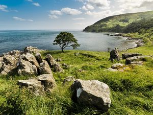 Preview wallpaper grass, stones, tree, sea, nature