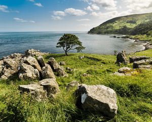 Preview wallpaper grass, stones, tree, sea, nature