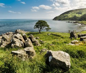 Preview wallpaper grass, stones, tree, sea, nature