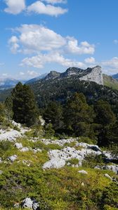 Preview wallpaper grass, stones, trees, mountains