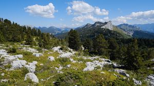 Preview wallpaper grass, stones, trees, mountains