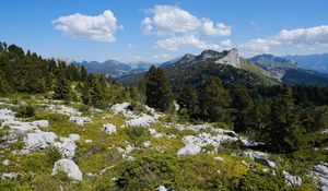 Preview wallpaper grass, stones, trees, mountains