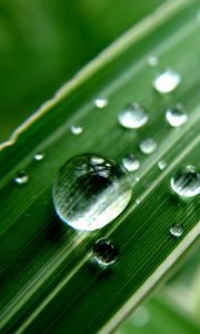 Preview wallpaper grass, strip, dew, drop