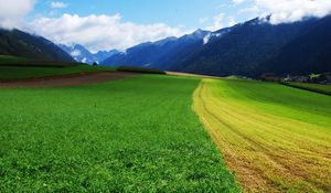 Preview wallpaper grass, summer, field