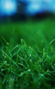 Preview wallpaper grass, summer, lawn