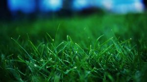 Preview wallpaper grass, summer, lawn