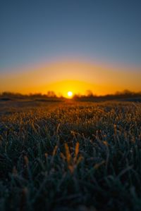 Preview wallpaper grass, sun, frost, drops, wet, macro