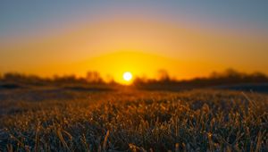 Preview wallpaper grass, sun, frost, drops, wet, macro