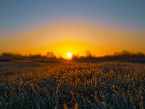 Preview wallpaper grass, sun, frost, drops, wet, macro