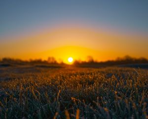 Preview wallpaper grass, sun, frost, drops, wet, macro