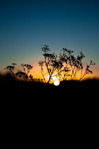 Preview wallpaper grass, sunset, sky, sun, blur