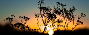 Preview wallpaper grass, sunset, sky, sun, blur