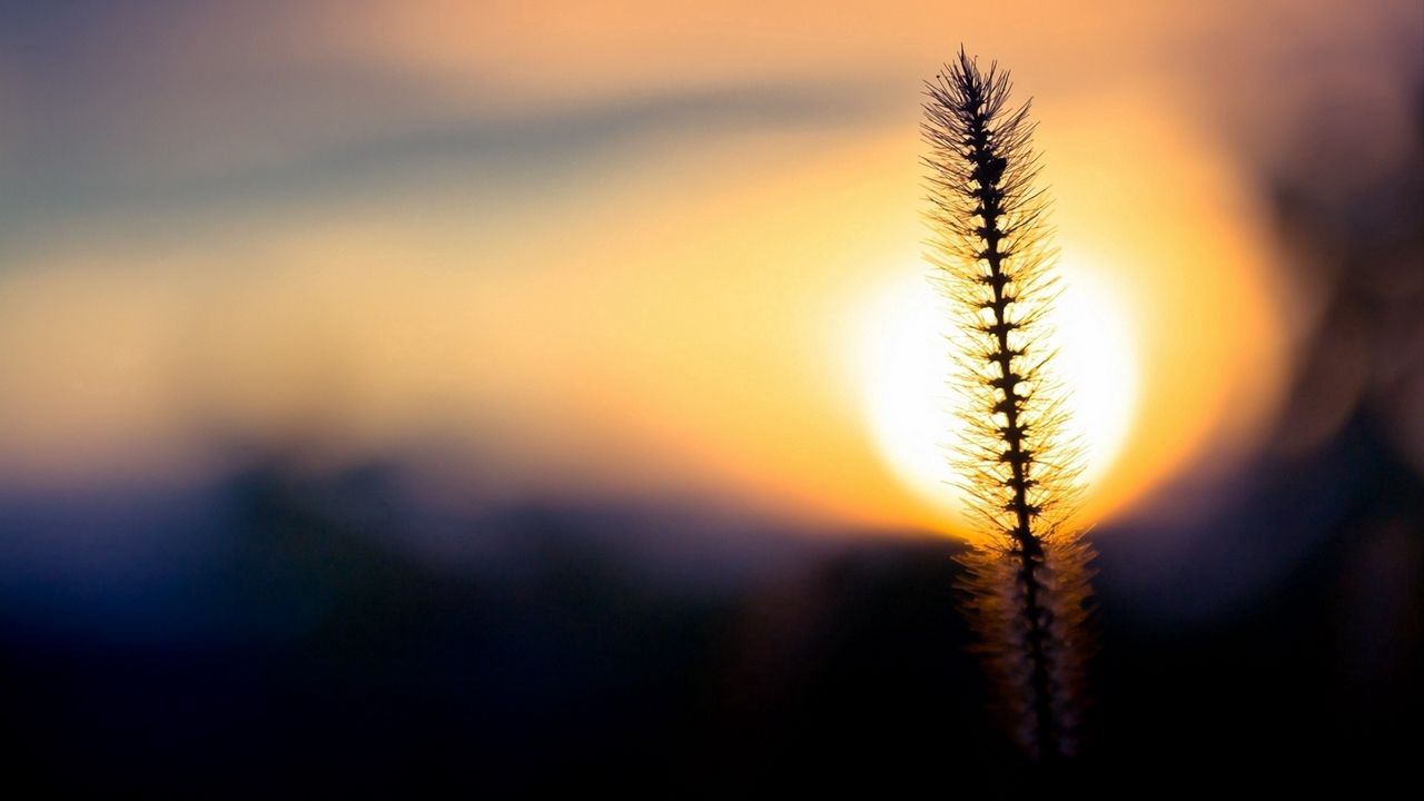 Wallpaper grass, sunset, sky, circle