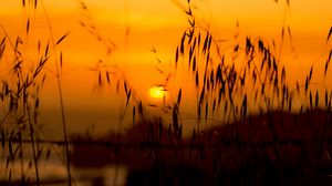 Preview wallpaper grass, sunset, sun, lake, dark