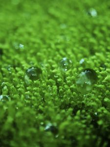 Preview wallpaper grass, surface, droplets, bubbles, green, lawn