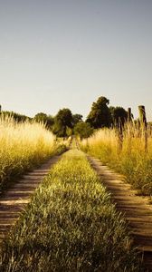 Preview wallpaper grass, trail, sky