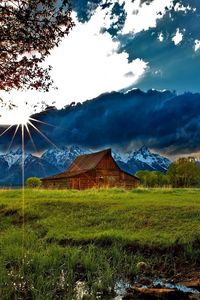 Preview wallpaper grass, trees, field, river, sky, clouds, building