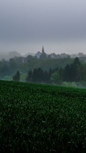 Preview wallpaper grass, trees, fog, houses, landscape