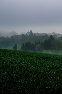 Preview wallpaper grass, trees, fog, houses, landscape