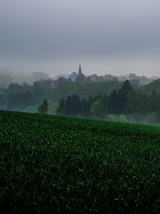 Preview wallpaper grass, trees, fog, houses, landscape