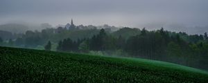 Preview wallpaper grass, trees, fog, houses, landscape