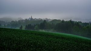 Preview wallpaper grass, trees, fog, houses, landscape