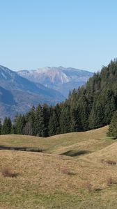 Preview wallpaper grass, trees, mountains, landscape