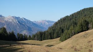 Preview wallpaper grass, trees, mountains, landscape