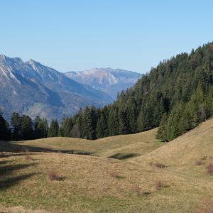 Preview wallpaper grass, trees, mountains, landscape