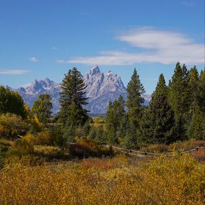 Preview wallpaper grass, trees, mountains, autumn, landscape