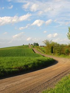 Preview wallpaper grass, trees, walking paths, rotation