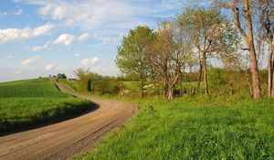 Preview wallpaper grass, trees, walking paths, rotation