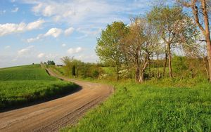 Preview wallpaper grass, trees, walking paths, rotation