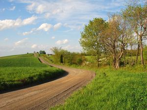 Preview wallpaper grass, trees, walking paths, rotation