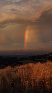 Preview wallpaper grass, valley, rainbow, nature