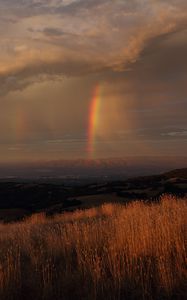 Preview wallpaper grass, valley, rainbow, nature