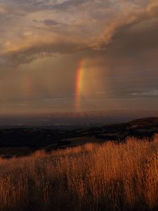 Preview wallpaper grass, valley, rainbow, nature